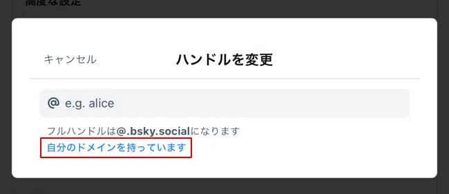 Blueskyカスタムドメイン設定方法の画像1